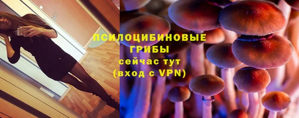эйфоретик Баксан