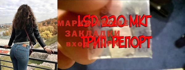 эйфоретик Баксан