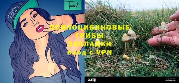 гашик Балабаново