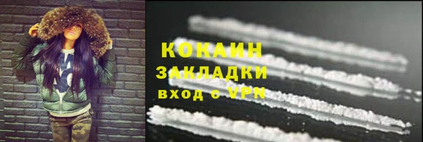 сатива Балахна