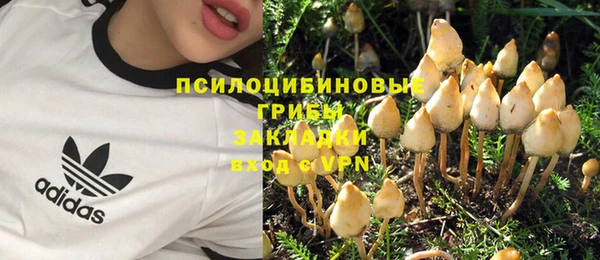 гашик Балабаново