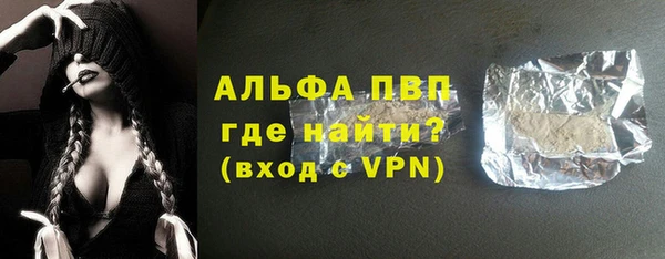 сатива Балахна