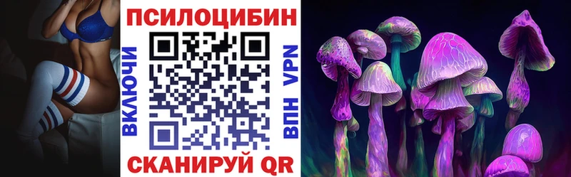 наркошоп  Невель  Псилоцибиновые грибы Cubensis 